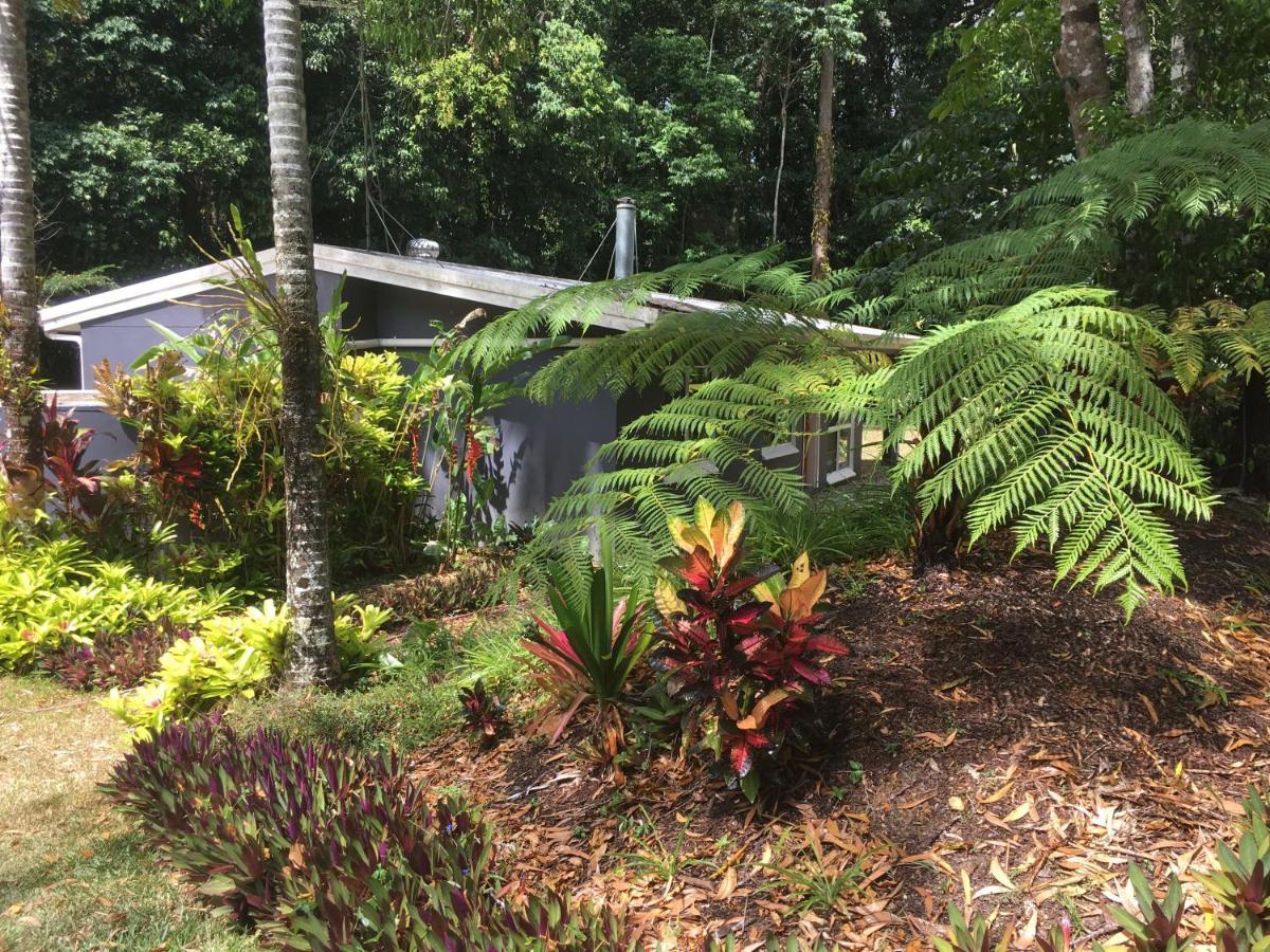 Honeybee House Villa Kuranda Eksteriør bilde