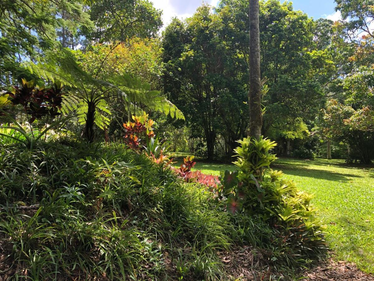 Honeybee House Villa Kuranda Eksteriør bilde