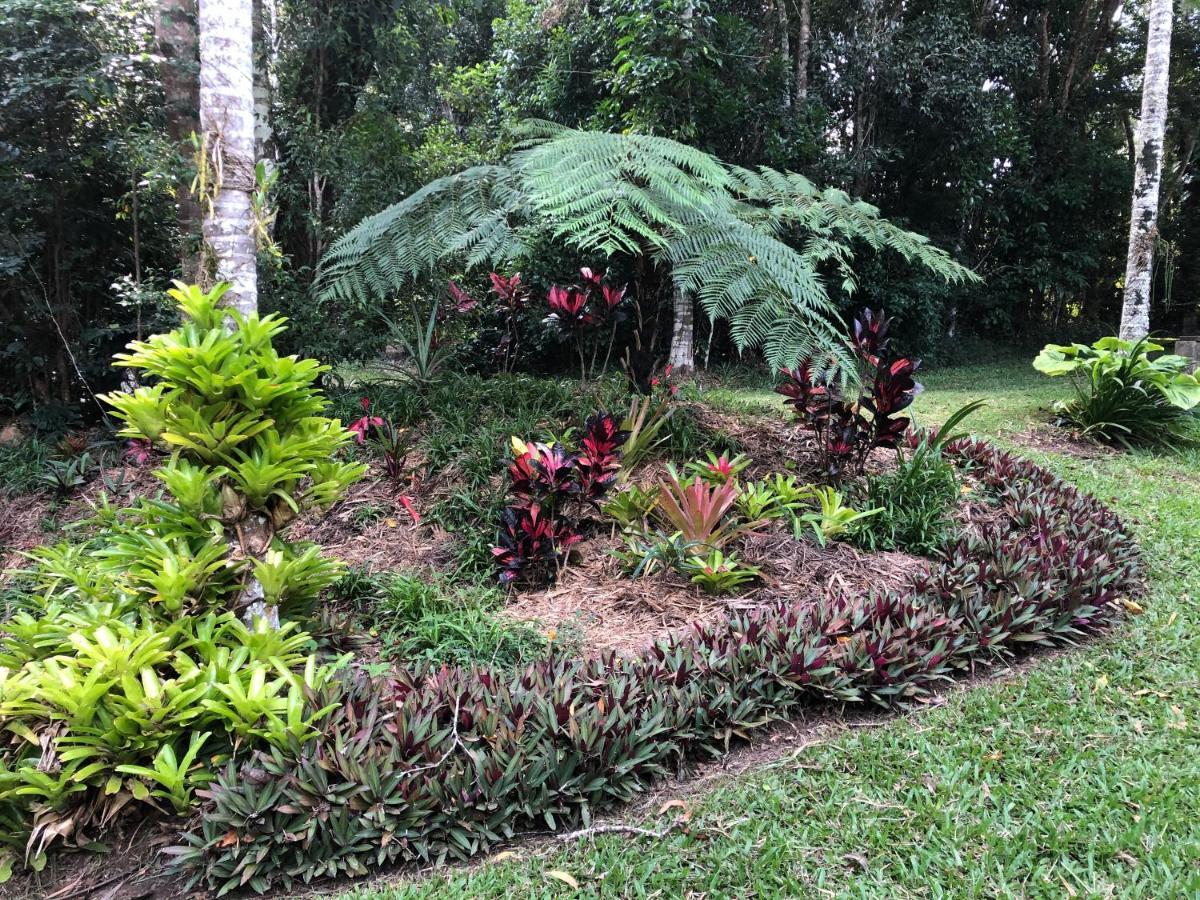 Honeybee House Villa Kuranda Eksteriør bilde