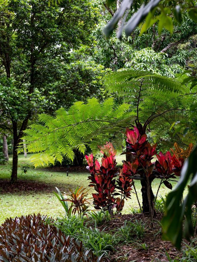 Honeybee House Villa Kuranda Eksteriør bilde