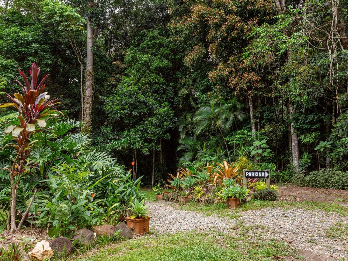 Honeybee House Villa Kuranda Eksteriør bilde
